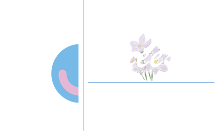 Freesia